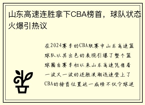 山东高速连胜拿下CBA榜首，球队状态火爆引热议