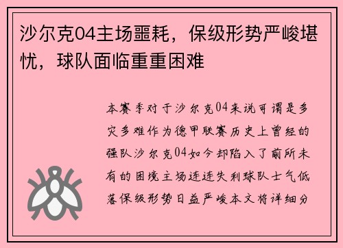 沙尔克04主场噩耗，保级形势严峻堪忧，球队面临重重困难